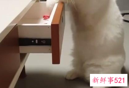 新房子通风了三年还有味道