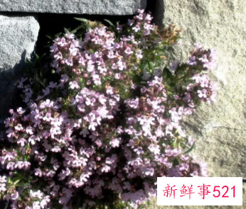 走出失恋阴霾的小技巧