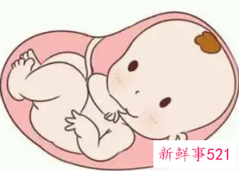 27周胎儿标准体重