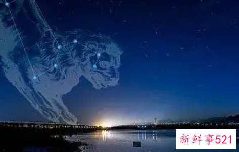 最恨狮子座有几人