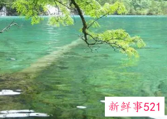 五行属水从事什么职业好