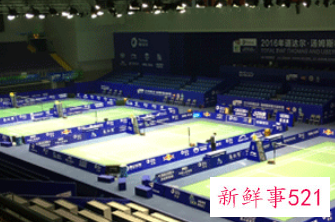 羽毛球正能量经典语录