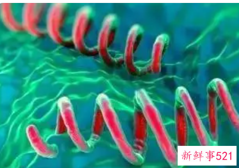 trust阳性是什么意思