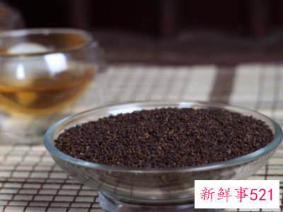 虫茶的正确泡法方法