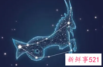 摩羯女最喜欢什么星座