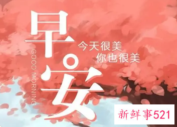 最暖心的早安问候语短句