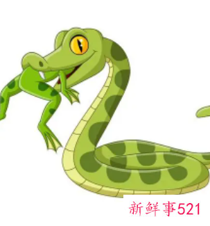 已婚女人梦见蟒蛇是什么意思