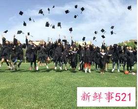 毕业生登记表处分如实填写了