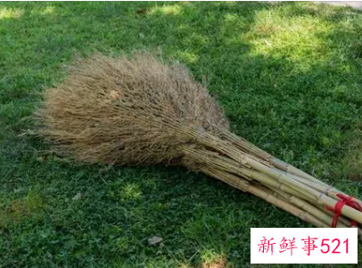梦见拿扫帚是什么意思