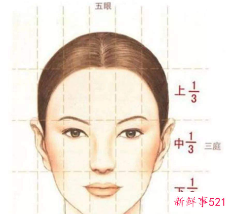 怎么判断骨相美人