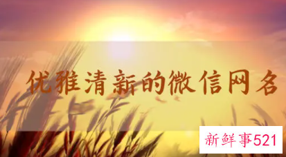 女士微信名字高雅简短