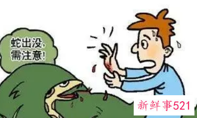 梦见被蛇咬伤有什么征兆
