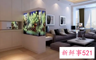 客厅鱼缸摆放西北方向