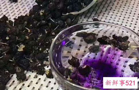 假黑枸杞泡水后什么颜色