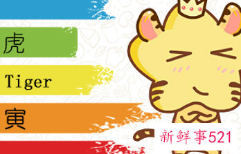 最命苦的虎几月出生