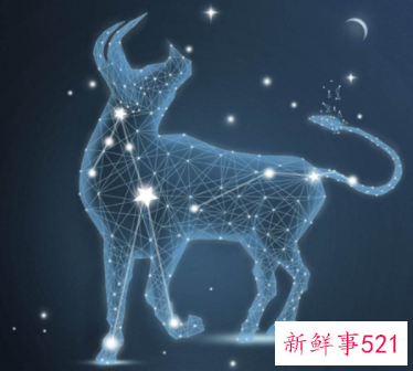 金牛座适合佩戴什么项链