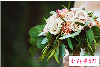 嫁给什么星座的男人最好