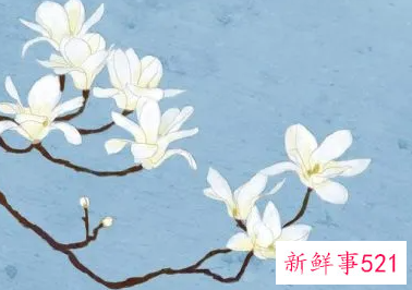 再好的朋友也不要什么话都说