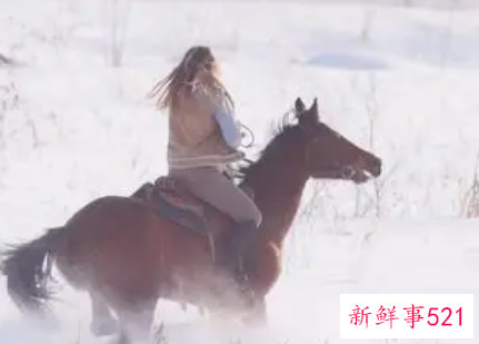 梦见雪地骑马是什么意思