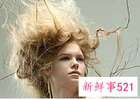 头发干枯毛躁怎么办