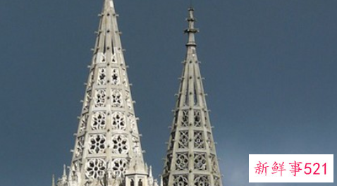 梦见发财树叶子被剪了