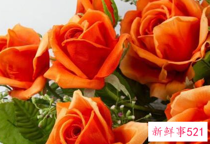 买花送女朋友买几朵