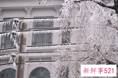 内蒙古多地降雪量已破1951年来极值具体情况