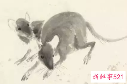 十二生肖什么命最好