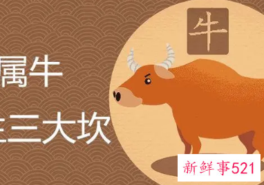 属牛人46岁有什么坎