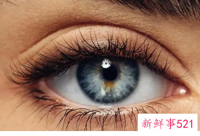 跟人面对面交流眼睛应该看哪