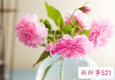 最暖心的早安问候语短句