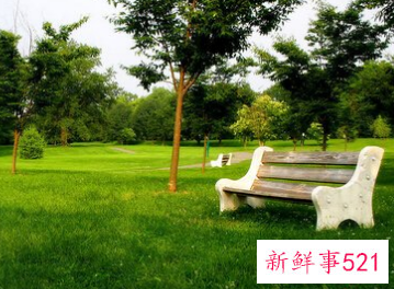 公园起名字技巧