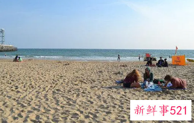 梦见好友一起玩耍