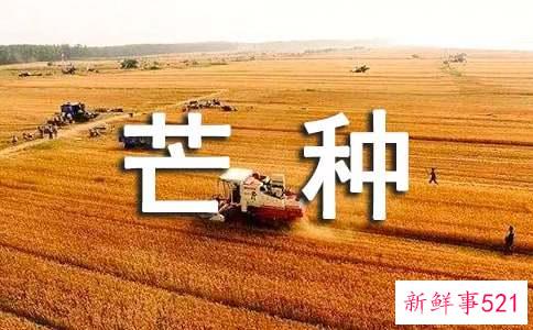 芒种节气健康养生的要点