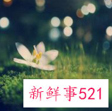 五十岁最漂亮的女人头像