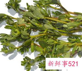 红苋菜的好处