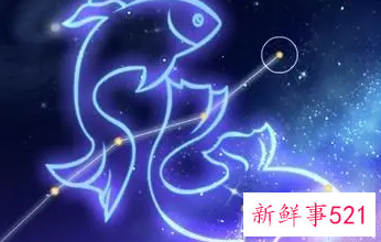 双鱼和哪个星座最合不来