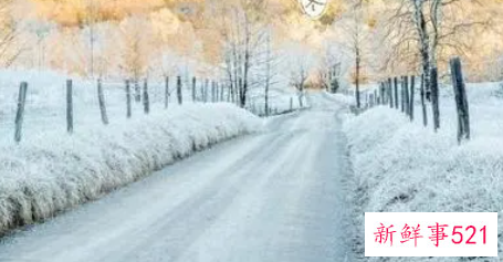 对女生表白简短的话