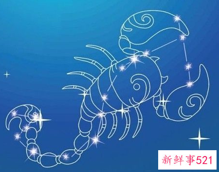 逻辑思维智商高星座