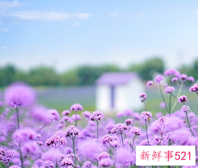 懒惰型抑郁有救了