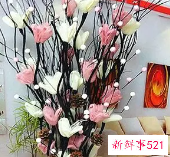 客厅放什么干花好看又旺财