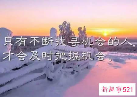 工作感悟句子简短