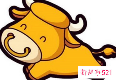 属牛的人佩戴什么旺财