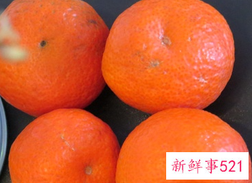 水果的种类有哪些