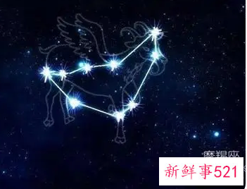 摩羯座本周运势查询女