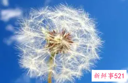 感悟人生最重要的态度