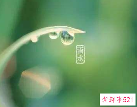 雨水节气的含义是什么
