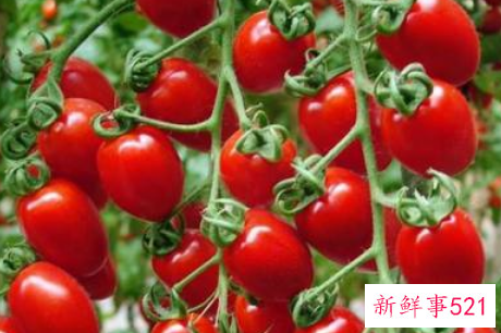 怎么养成晒不黑体质