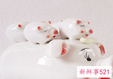 存钱罐忌讳什么颜色