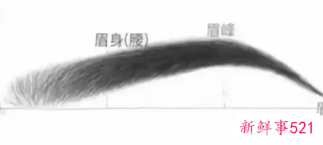 女人什么眉毛好看